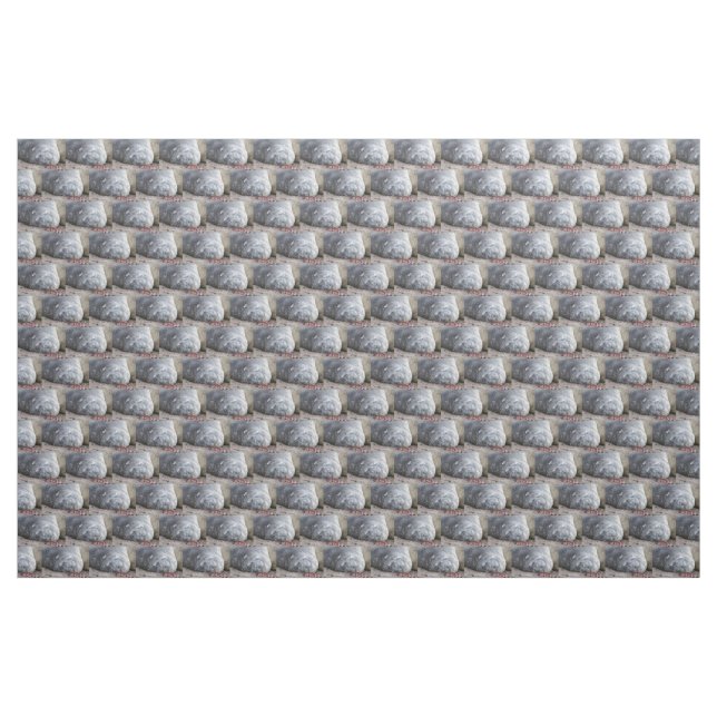 Sleeping elephant seal fabric (Yard)