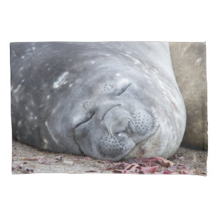 Sleeping elephant seal pillowcase