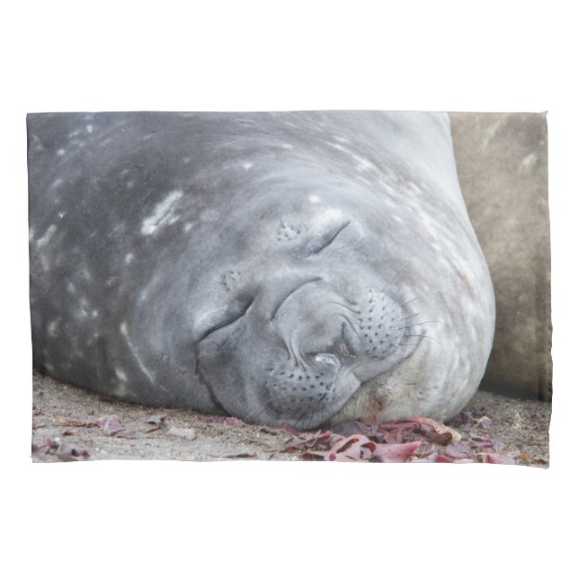 Sleeping elephant seal pillowcase (Front)
