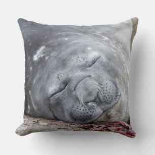 Sleeping elephant seal throw pillow