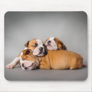 Sleeping English bulldog Mouse Pad