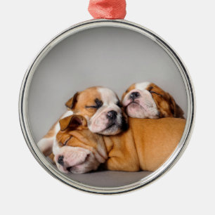Sleeping English bulldog puppies Metal Ornament