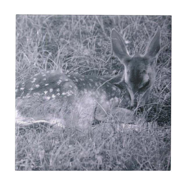 Sleeping Fawn Tile (Front)
