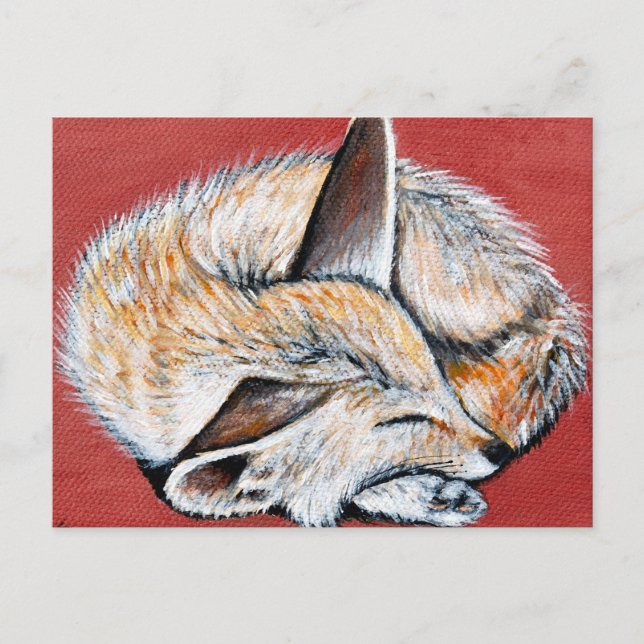 Sleeping Fennec Fox painting Postcard (Front)
