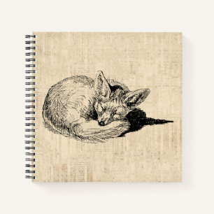 Sleeping Fox Illustrated Art Cute Vintage Animal Notebook