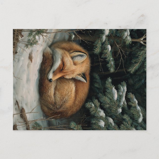 Sleeping Fox in Winter Forest Postcard (Front)