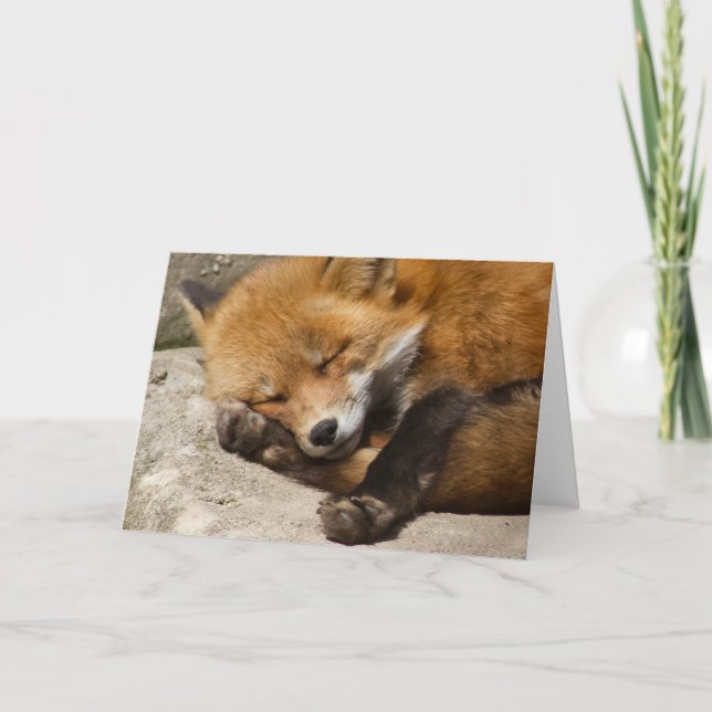 Sleeping Fox Notecard (Front)