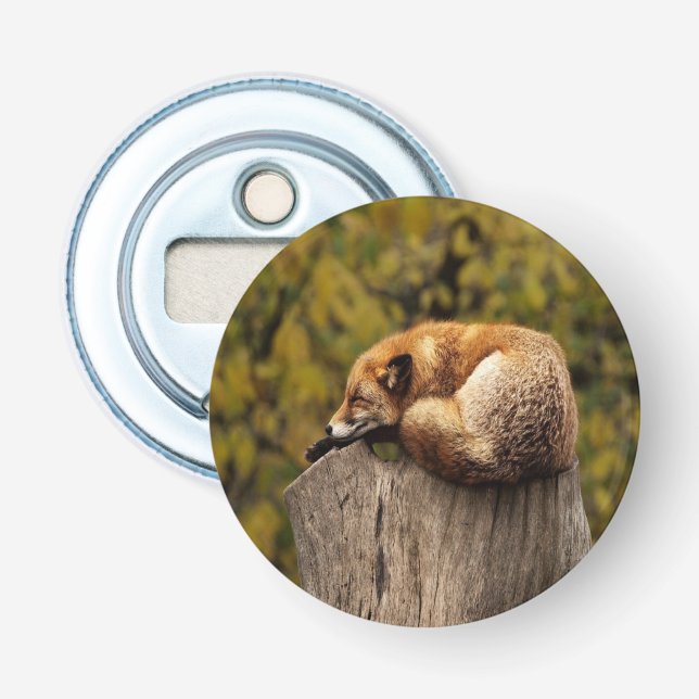 Sleeping fox photo bottle opener (Front)