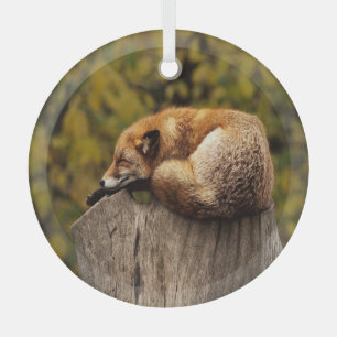 Sleeping fox photo glass ornament