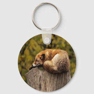 Sleeping fox photo keychain