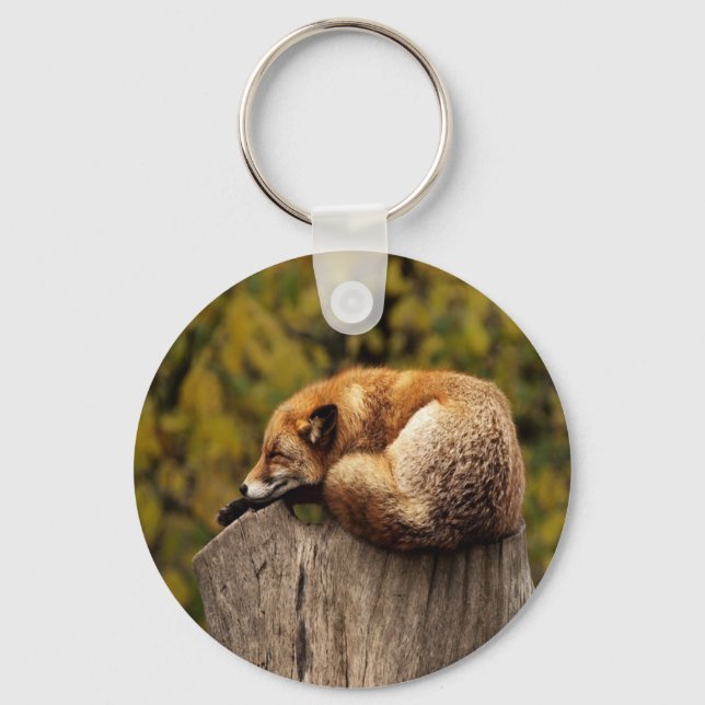 Sleeping fox photo keychain (Front)