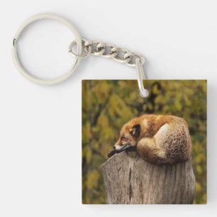 Sleeping fox photo keychain