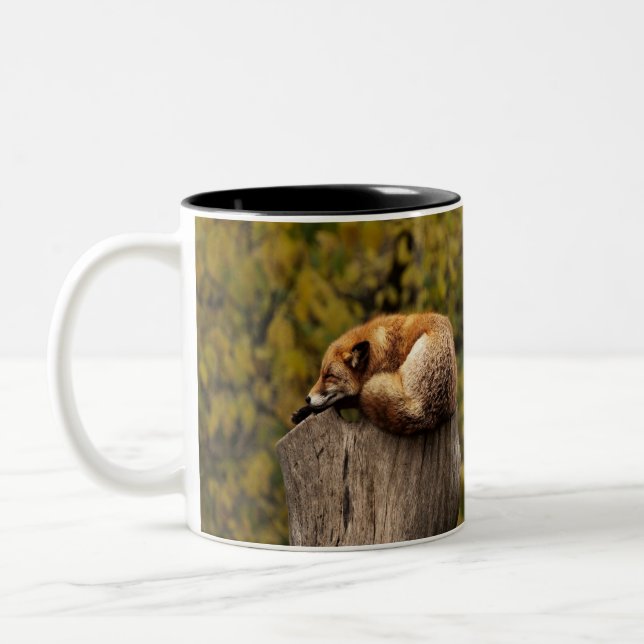 sleeping fox photo Two-Tone coffee mug (Left)
