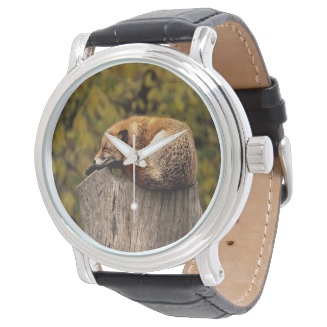Sleeping fox photo watch (Angled)