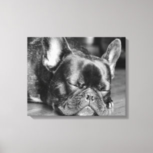 Sleeping French Bulldog Canvas Print