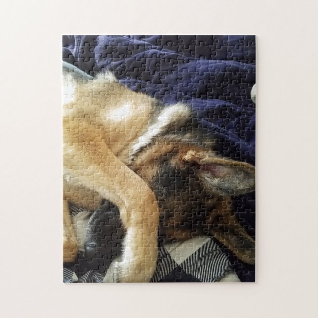 sleeping german shepherd jigsaw puzzle (Vertical)