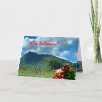 Sleeping Giant Christmas