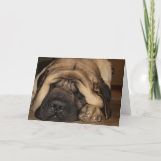 sleeping giant mastiff waiting for cake card