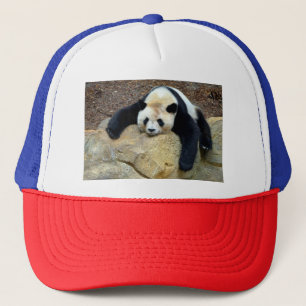 Sleeping giant panda slumped on a rock trucker hat