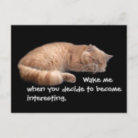 Sleeping Ginger Cat Funny Wake Me Quote