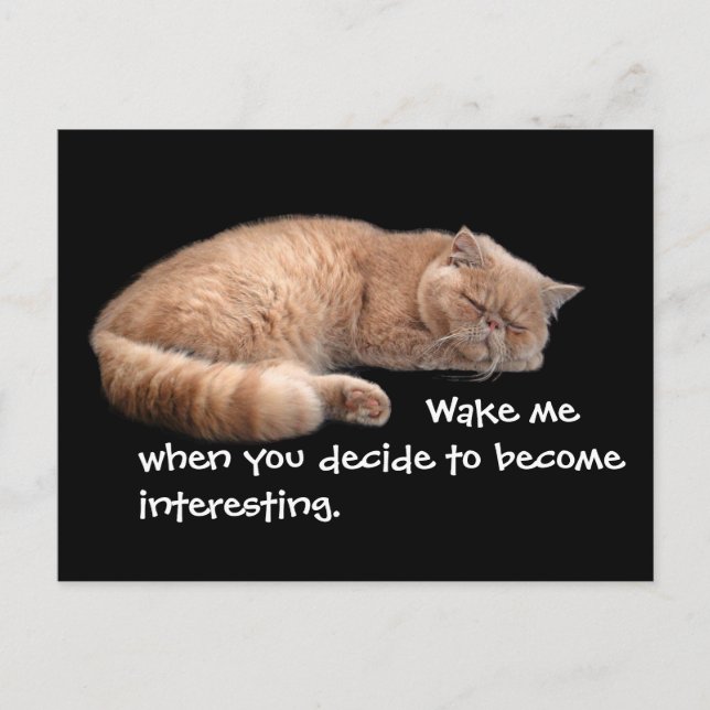 Sleeping Ginger Cat Funny Wake Me Quote Postcard (Front)