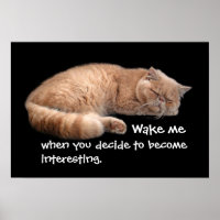 Sleeping Ginger Cat Funny Wake Me Quote