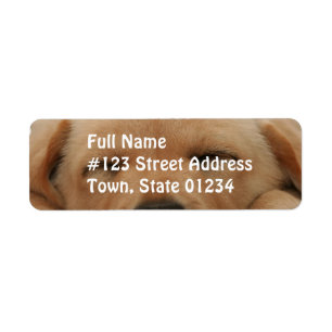 Sleeping Golden Retriever Mailing Label