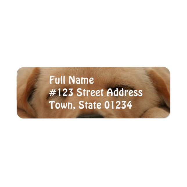 Sleeping Golden Retriever Mailing Label (Front)