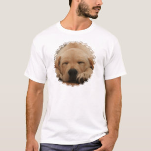Sleeping Golden Retriever Men's T-Shirt