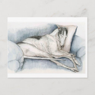 Sleeping Greyhound Dog Art Poscard Postcard