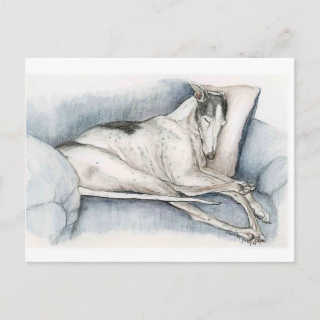 Sleeping Greyhound Dog Art Poscard Postcard (Front)