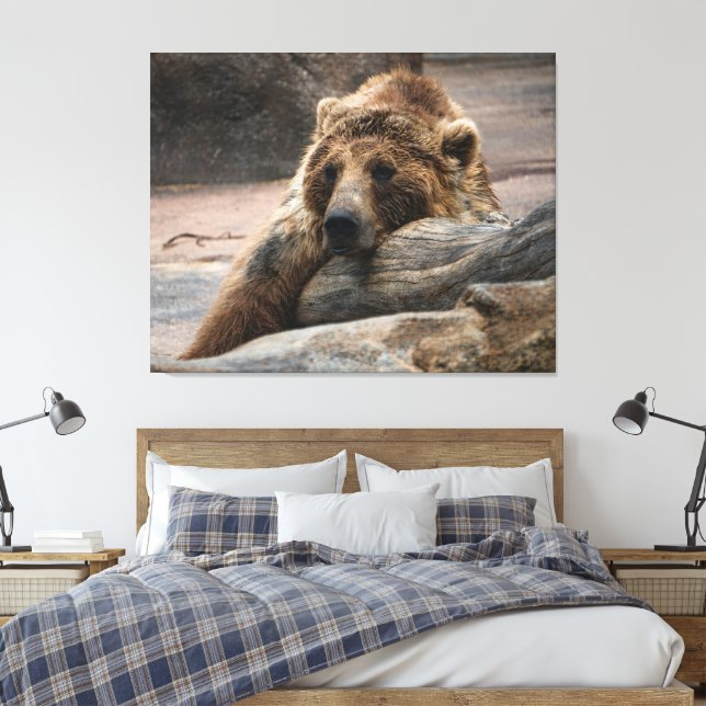 Sleeping Grizzly Bear stretched Canvas Print (Insitu(Bedroom))