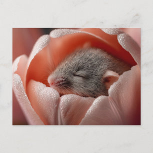 Sleeping Harvest Mouse Inside a Dew-Covered Tulip Holiday Postcard