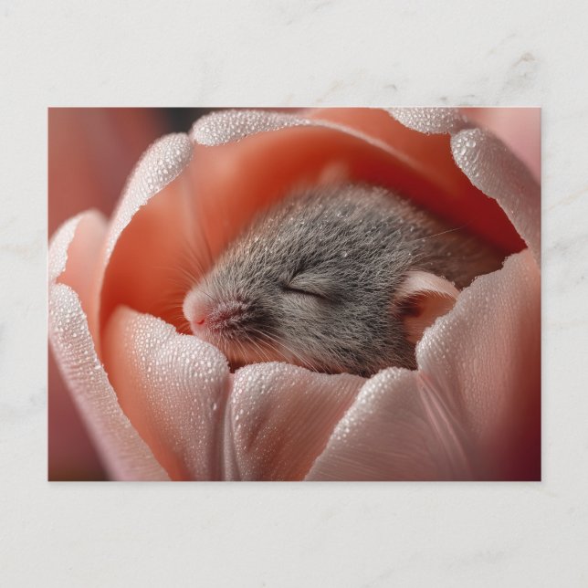 Sleeping Harvest Mouse Inside a Dew-Covered Tulip Holiday Postcard (Front)