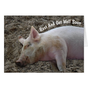 SLEEPING HOG GET WELL CARD
