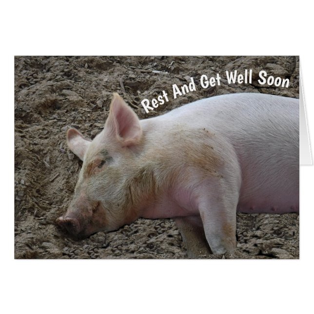SLEEPING HOG GET WELL CARD (Front Horizontal)