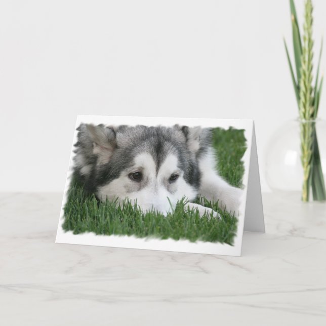 Sleeping Husky Greeting Card (Front)