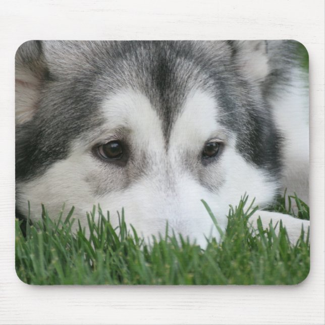 Sleeping Husky Mouse Pad (Front)
