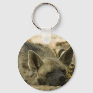 Sleeping Hyena  Keychain