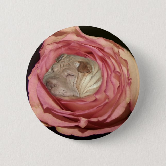 Sleeping in a Pale Pink Rose, Chinese Shar Pei Dog 2 Inch Round Button (Front)