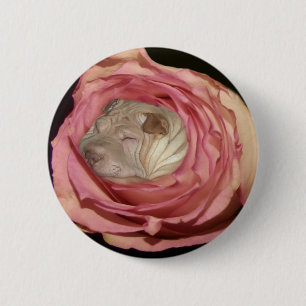 Sleeping in a Pale Pink Rose, Chinese Shar Pei Dog 2 Inch Round Button