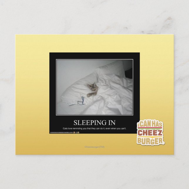 Sleeping In Postcard (Front)