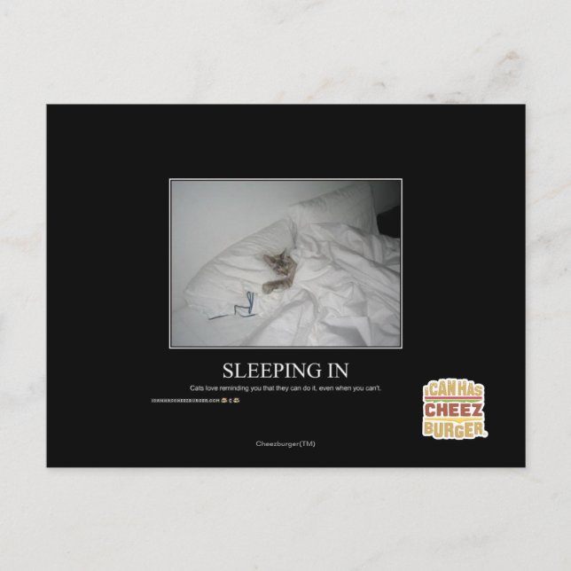 Sleeping In Postcard (Front)