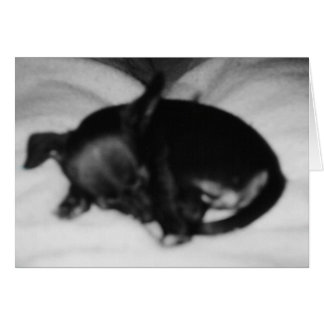 Sleeping Innocence