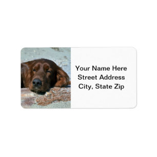 Sleeping Irish Setter Label