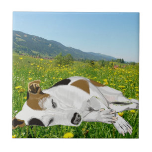 Sleeping Jack Russell in a colourful flower Meadow Tile