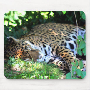 Sleeping Jaguar Mouse Pad