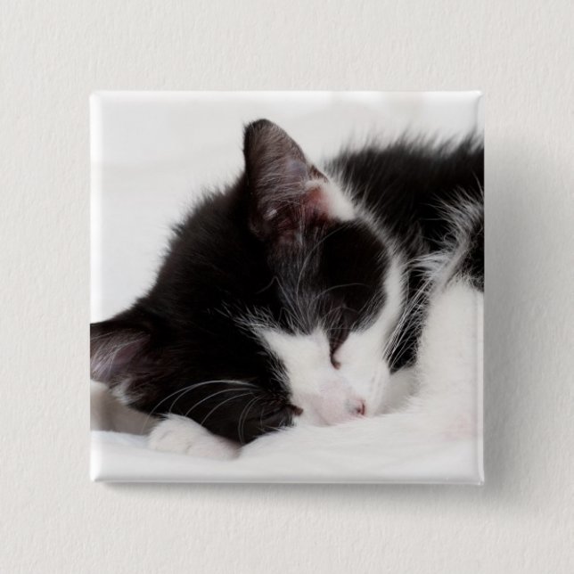 Sleeping Kitten 2 Inch Square Button (Front)