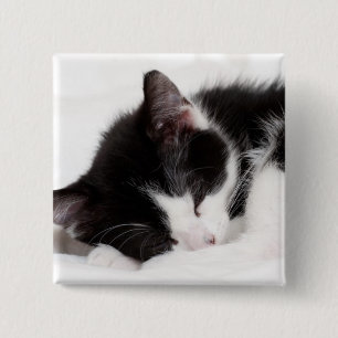 Sleeping Kitten 2 Inch Square Button