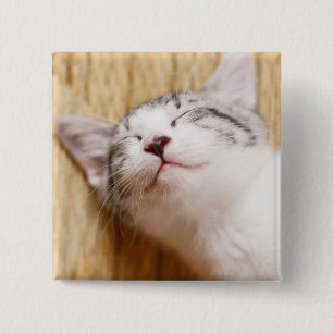 Sleeping Kitten 2 Inch Square Button